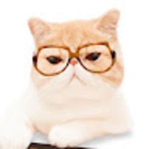 Meet your Posher, Miriam